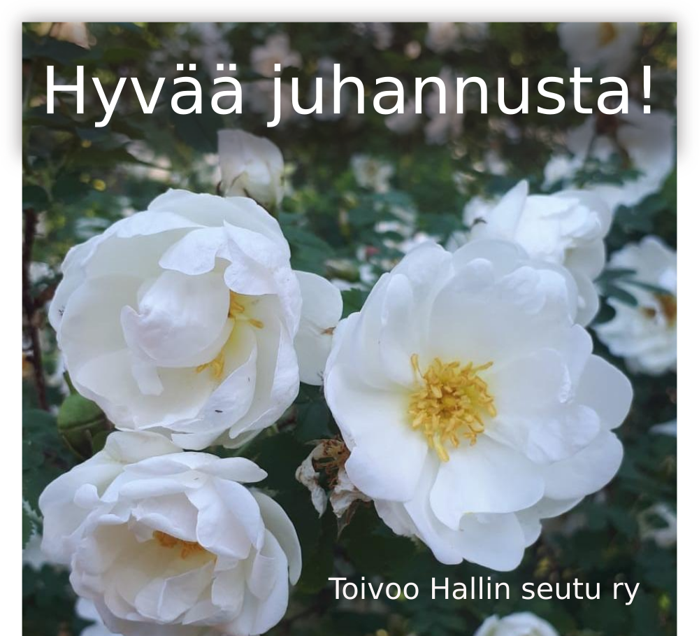 Hyvää juhannusta