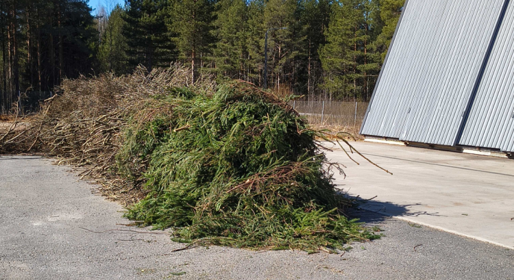 Risuja alkoi kertyä heti ensi minuuteista alkaen
