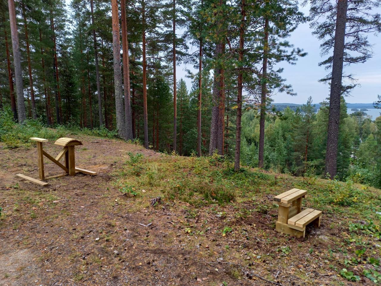 Kuntoilutelineet